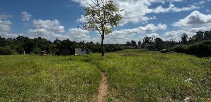 HALF-ACRE PLOT FOR SALE IN KAREN