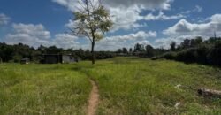 HALF-ACRE PLOT FOR SALE IN KAREN