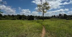 HALF-ACRE PLOT FOR SALE IN KAREN