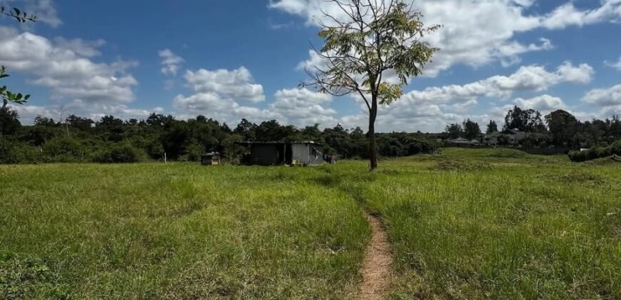HALF-ACRE PLOT FOR SALE IN KAREN