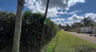 HALF-ACRE PLOT FOR SALE IN KAREN