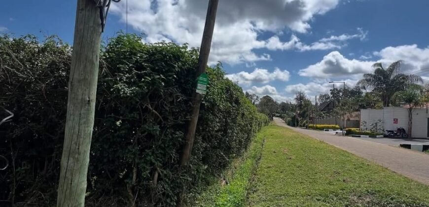 HALF-ACRE PLOT FOR SALE IN KAREN
