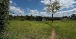 HALF-ACRE PLOT FOR SALE IN KAREN
