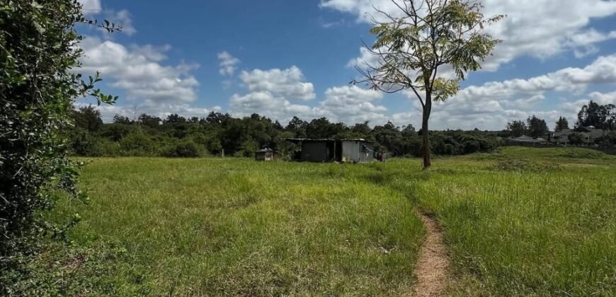 HALF-ACRE PLOT FOR SALE IN KAREN