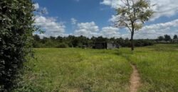 HALF-ACRE PLOT FOR SALE IN KAREN