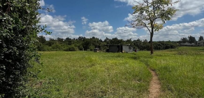 HALF-ACRE PLOT FOR SALE IN KAREN