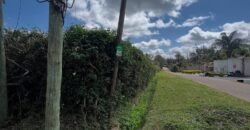 HALF-ACRE PLOT FOR SALE IN KAREN