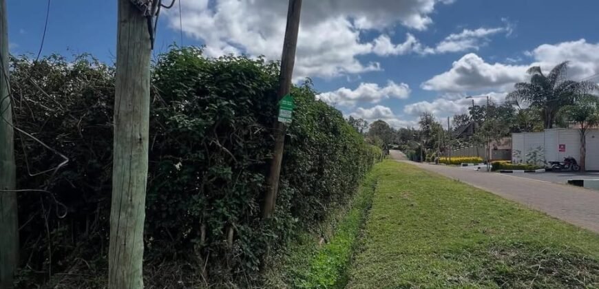 HALF-ACRE PLOT FOR SALE IN KAREN