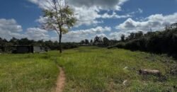 HALF-ACRE PLOT FOR SALE IN KAREN