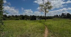 HALF-ACRE PLOT FOR SALE IN KAREN