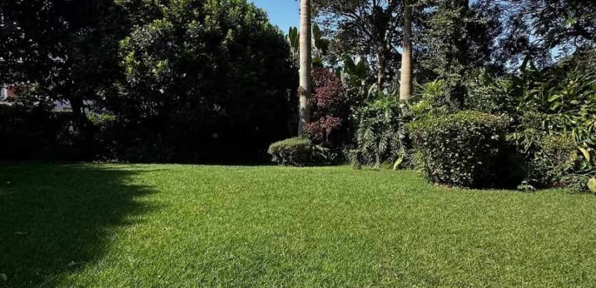 HOUSE TO LET IN ROSSLYN
