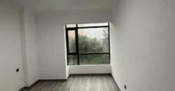 APARTMENT TO LET IN LAVINGTON