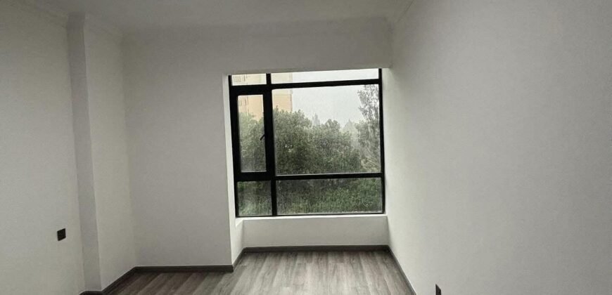 APARTMENT TO LET IN LAVINGTON