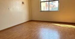 APARTMENT TO LET IN LAVINGTON