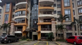 APARTMENT TO LET IN KILIMANI