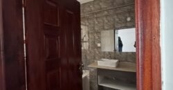 APARTMENT TO LET IN KILELESHWA