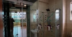 APARTMENT TO LET IN KILIMANI