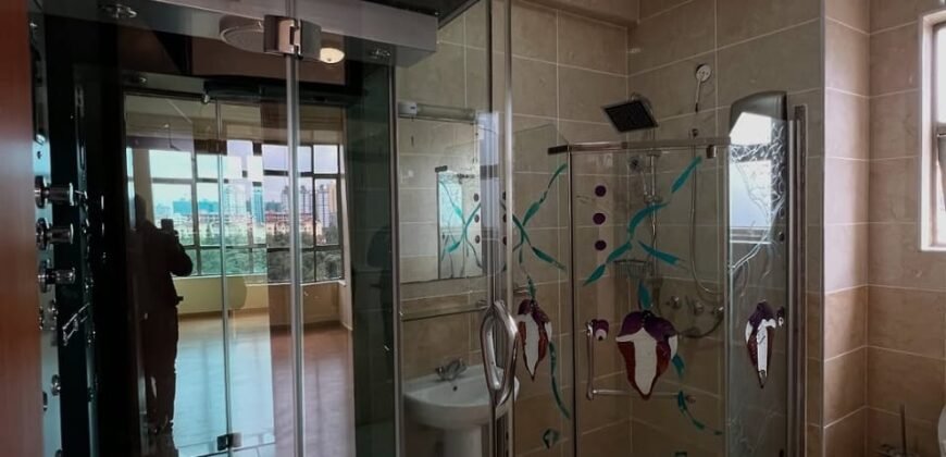 APARTMENT TO LET IN KILIMANI