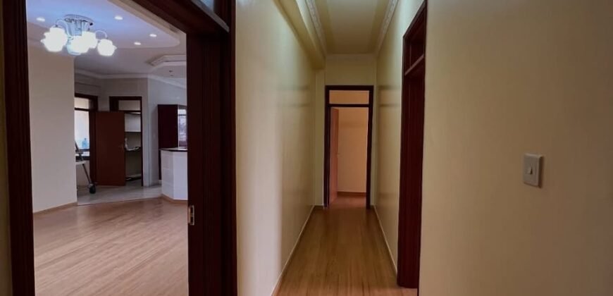 APARTMENT TO LET IN KILIMANI