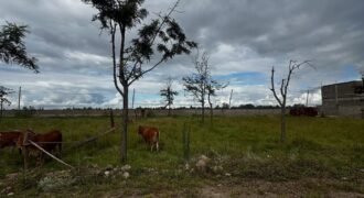 HALF-ACRE PLOT FOR SALE