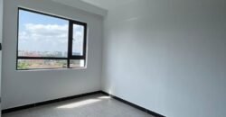 APARTMENT TO LET IN LAVINGTON