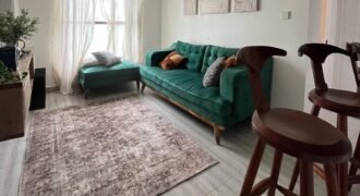APARTMENT FOR SALE IN KITISURU