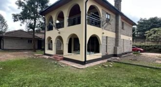 HOUSE TO LET IN LAVINGTON