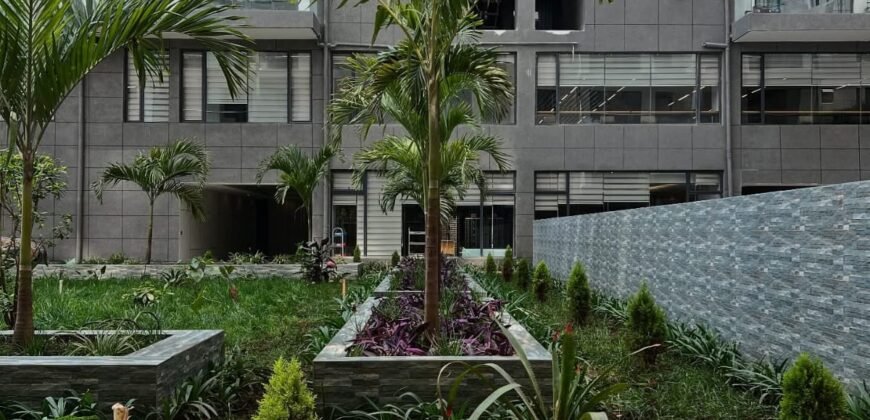 APARTMENT TO LET IN KILIMANI
