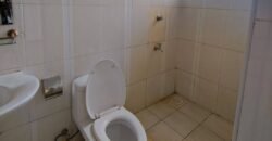 APARTMENT TO LET IN LAVINGTON