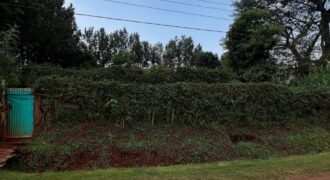 LAND FOR SALE IN KITISURU