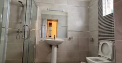 APARTMENT TO LET IN WESTLANDS