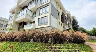 A HOUSE TO LET IN TWO RIVERS