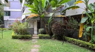APARTMENT TO LET IN KILIMANI