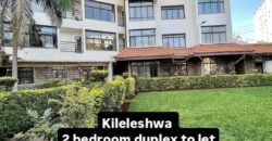 APARTMENT TO LET IN KILELESHWA