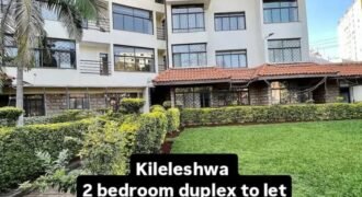 APARTMENT TO LET IN KILELESHWA