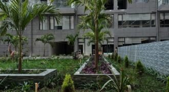 APARTMENT TO LET IN KILIMANI