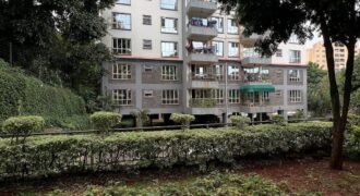 APARTMENT TO LET IN LAVINGTON