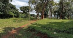 HALF ACRE LAND FOR SALE IN KAREN