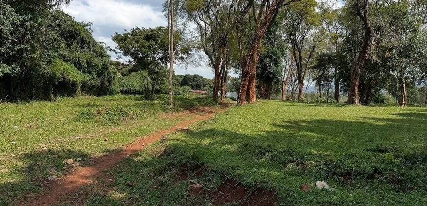 HALF ACRE LAND FOR SALE IN KAREN