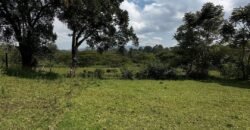 HALF ACRE LAND FOR SALE IN KAREN