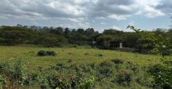 HALF ACRE LAND FOR SALE IN KAREN