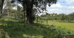 HALF ACRE LAND FOR SALE IN KAREN