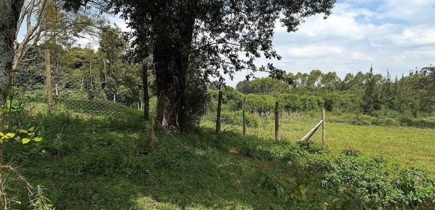 HALF ACRE LAND FOR SALE IN KAREN
