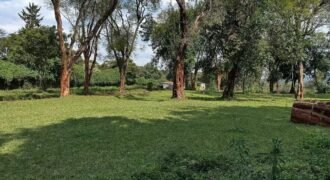 HALF ACRE LAND FOR SALE IN KAREN