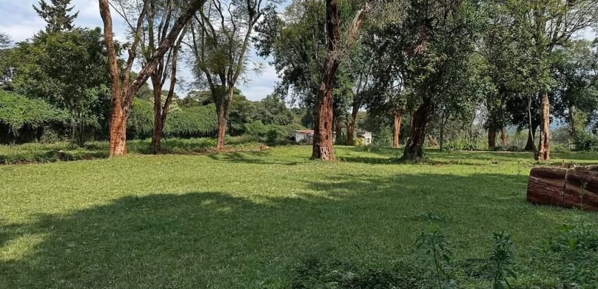 HALF ACRE LAND FOR SALE IN KAREN