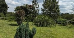 HALF ACRE LAND FOR SALE IN KAREN