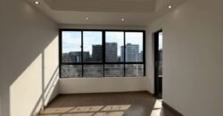 APARTMENT TO LET IN KILIMANI