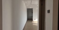 APARTMENT TO LET IN KILIMANI
