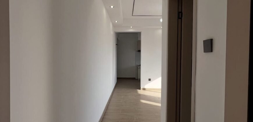 APARTMENT TO LET IN KILIMANI