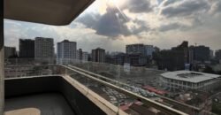 APARTMENT TO LET IN KILIMANI